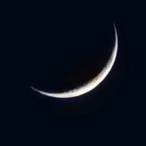 Meet your Posher, Emanuele